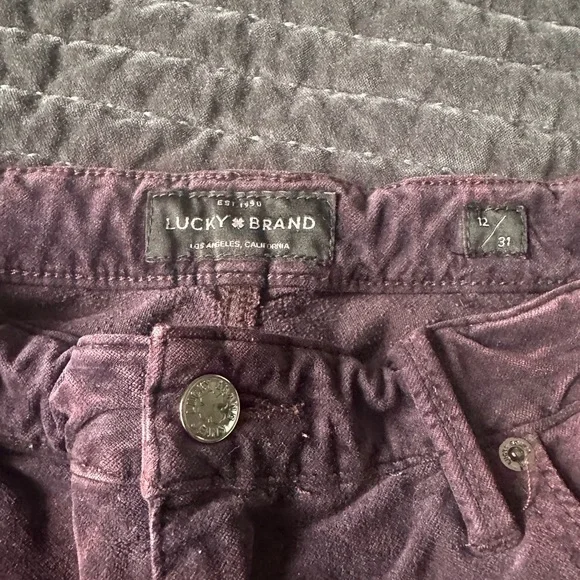 Plum velvet pants perfect for fall - Picture 2 of 2